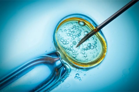 http://dalian.qqkaixin.com/post/199.html|大连供卵助孕